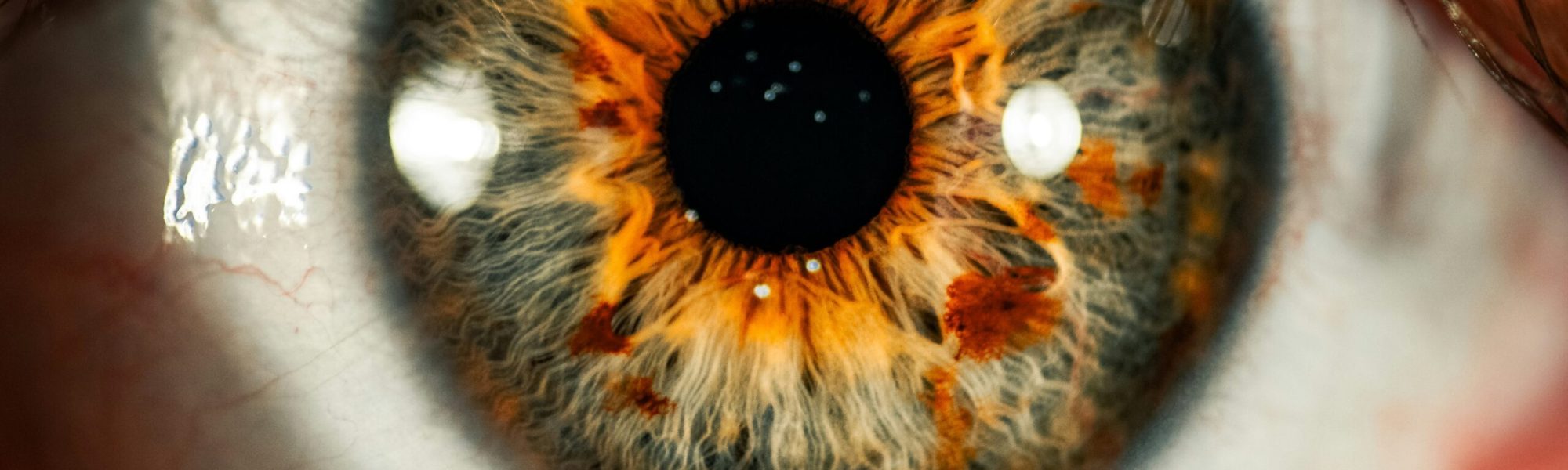 Photo by Colin Lloyd on Unsplash